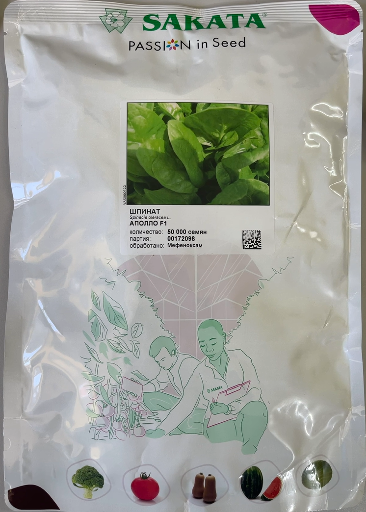 Шпинат Аполло